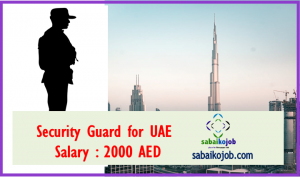 Read more about the article Security Guard For UAE