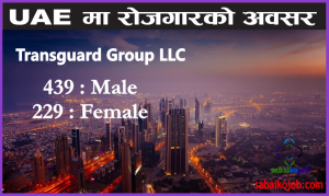 Read more about the article Transguard Group Job Offer for 668 Male / Female, UAE