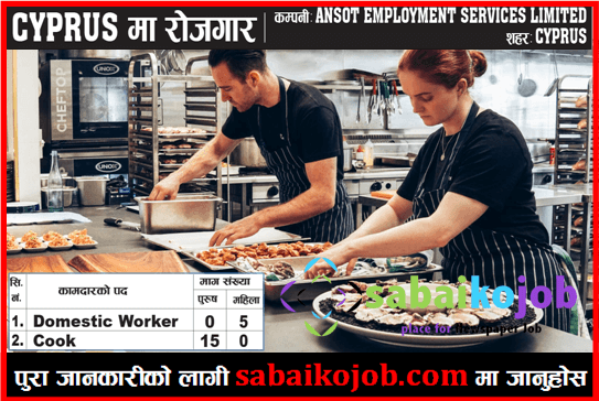 Job in Cyprus | Cook & Domestic Worker | Salary up to 113175/-