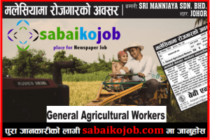 Read more about the article Job in Malaysia | 50 Male General Agricultural Worker at Johor