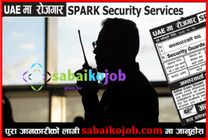 Read more about the article Job in UAE | Vacancies for 100 Security Guard