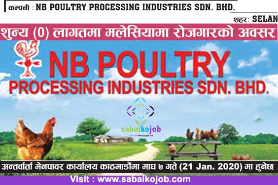 Job in Malaysia | Apply at Zero Cost | Poultry industries