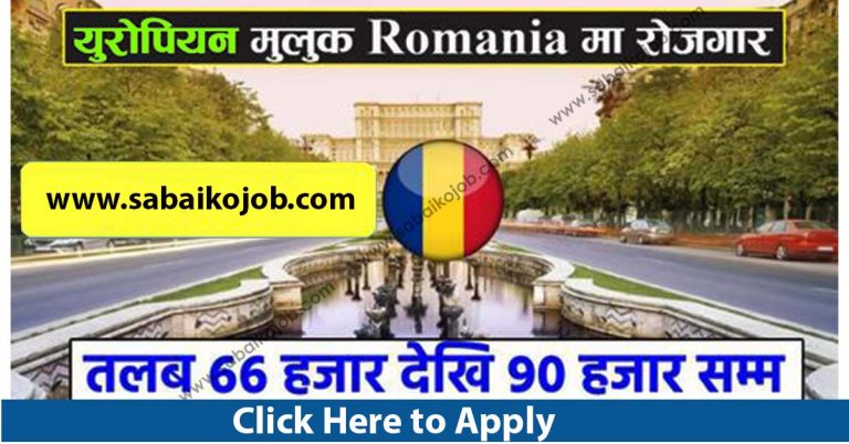 Job Vacancy at DC EMPLOYMENT AGENCY SRL Romania