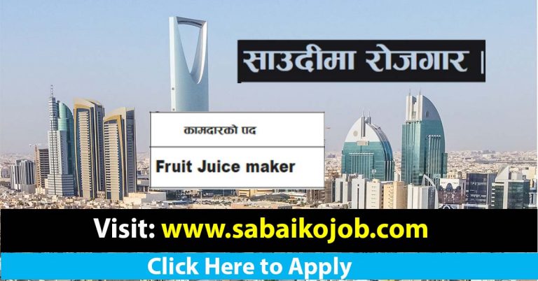 Fruit Juice Maker