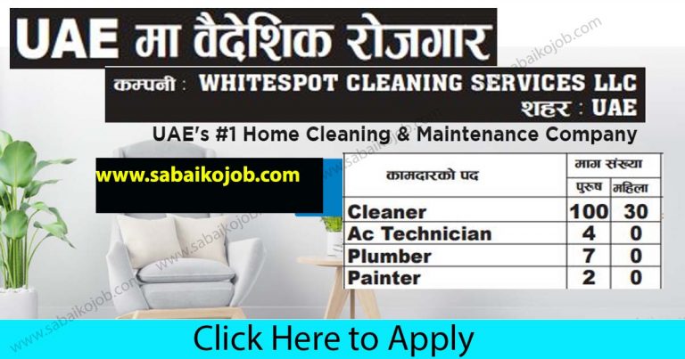 Various Attractive Job Offer In UAE, WHITESPOT CLEANING SERVICES