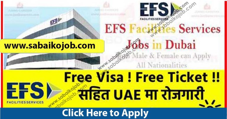 Free Visa Free Ticket for Cleaner to work in UAE