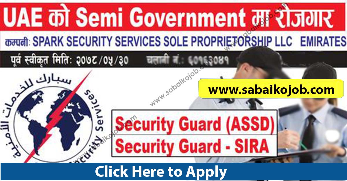 job at semi government spark security services