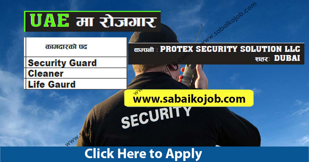 job vacancy at protex security solutions