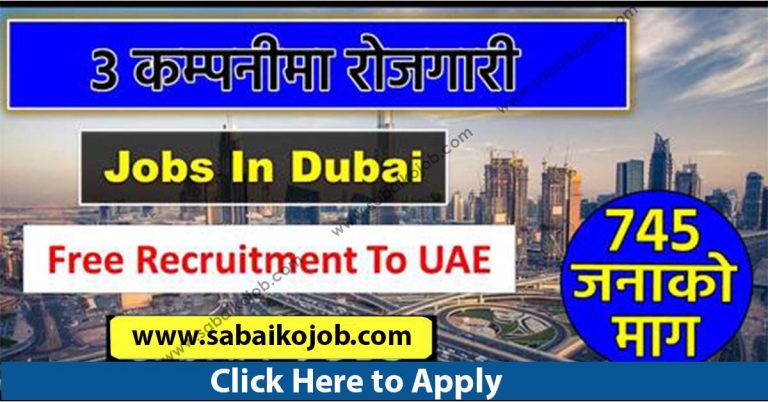 Looking For Career In Foreign Get Job In UAE, demand of 745 people