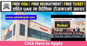Read more about the article Free Visa ! Free Recruitment ! Free Ticket ! for TRANSGUARD GROUP L.L.C DUBAI