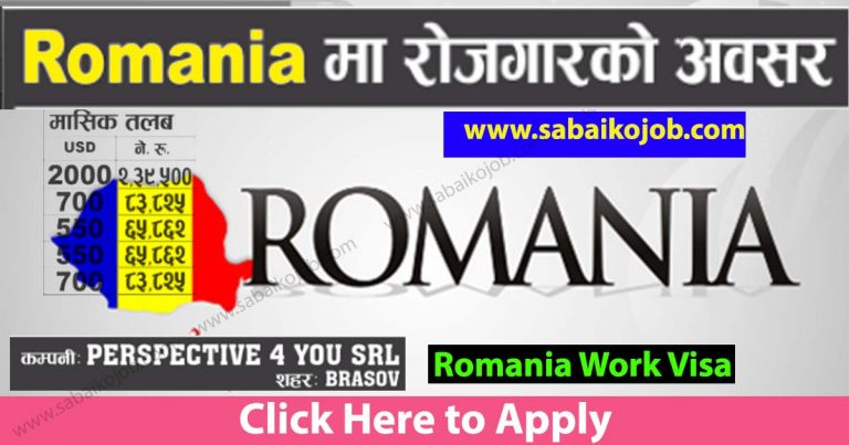 Job Vacancy at Perspective 4 You SRL, Romania