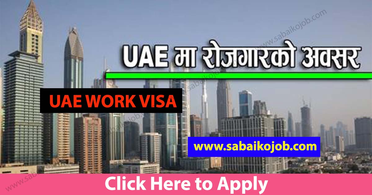 uae work visa