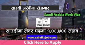 Read more about the article Jobs in Saudi Arabia, High Salary for Labour