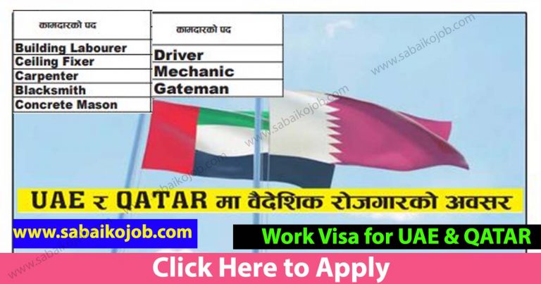 Looking For Career In Foreign Get Job In Qatar and UAE