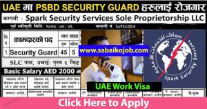 Read more about the article Security Guard Jobs in Spark Security Services Sole Proprietorship LLC