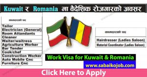 Read more about the article Looking For Career In Foreign Get Job In Kuwait & Romania