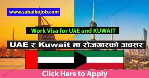 Read more about the article Vacancy Announcement For 64 Candidates To Work In Uae & Kuwait