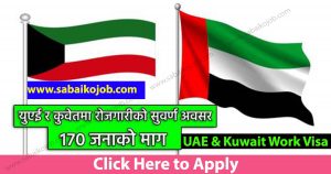 Read more about the article Various Attractive Job Offer In Uae & Kuwait, 170 Candidates Required