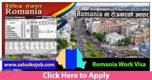 Read more about the article Vacancy Announcement For 80 Candidates To Work In Romania