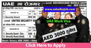Read more about the article SECURITY GUARD JOBS IN UAE, 604 Candidates Required