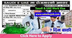 Read more about the article Jobs in Saudi Arabia and UAE