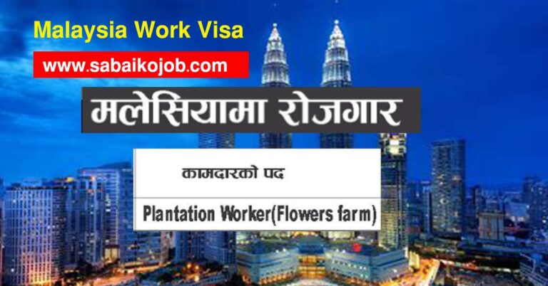 Plantation Worker